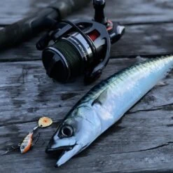 Savage Gear SG8 4000FD -Visuitrusting Winkel 006b18b381633578b1f885d1a5071600