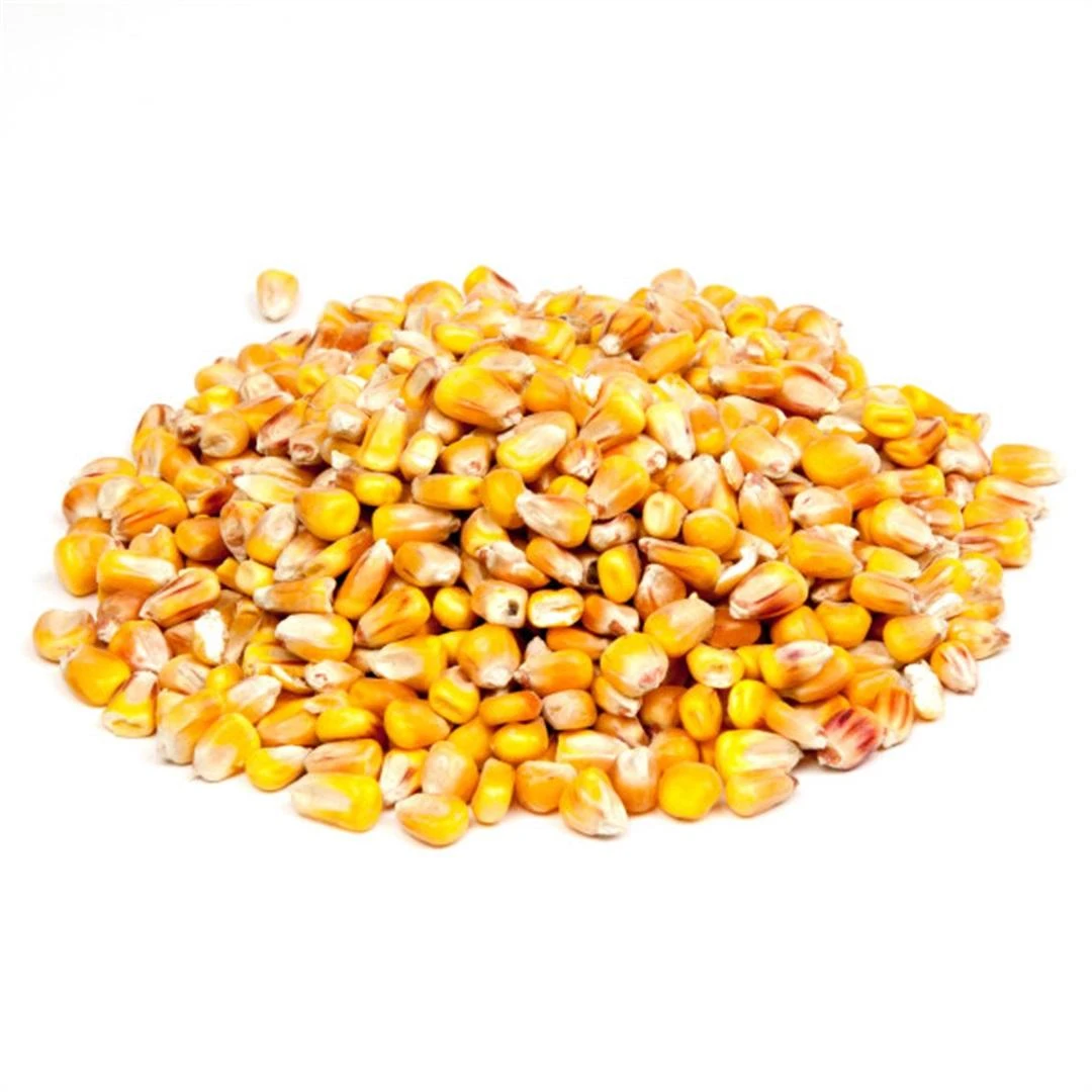 Mais 2 Kg 1 Mais 2 Kg