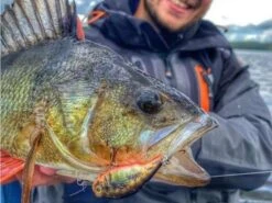 Savage Gear 3D Goby Crank PHP 5 Cm | Goby -Visuitrusting Winkel 1e25324b50d523656522ea8dc16b53e3