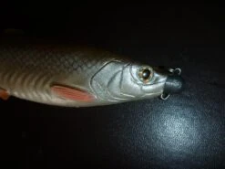 Savage Gear Corkscrew Heads | 3 Gram (3pcs) -Visuitrusting Winkel 62839a394d06975150c3d3017b0c9490