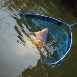 Preston Latex Match Landing Net -Visuitrusting Winkel af69253ee8a652234ed3d14cc89be8fd