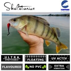 Toppies Fishing Skeletonius Shad 7cm | Blue Limey -Visuitrusting Winkel c972009ba03c61464162bbe348a4e461