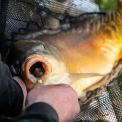 Fjuka Carpos Mixed Colors 11mm -Visuitrusting Winkel d51a06a1658fca0c97a276c1b52eff25