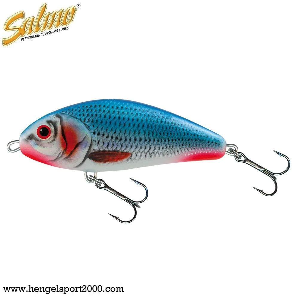 Salmo Fatso Sinking 10 Cm | Bleeding Blue Shad 2 Salmo Fatso Sinking 10 Cm | Bleeding Blue Shad - Afbeelding 2