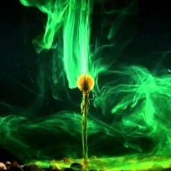 Korda GOO | Orange -Visuitrusting Winkel e75d8cb5feeebd40c7b33d9256edef0c